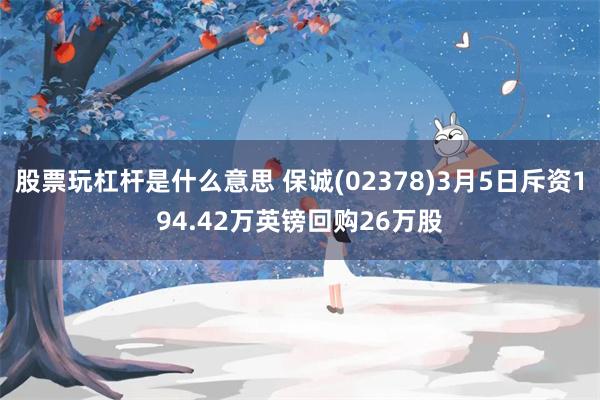 股票玩杠杆是什么意思 保诚(02378)3月5日斥资194.42万英镑回购26万股