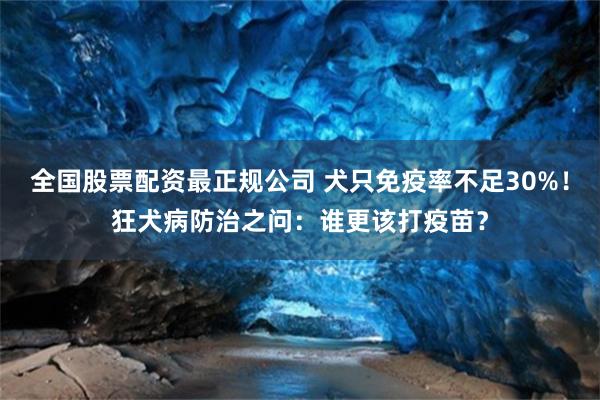 全国股票配资最正规公司 犬只免疫率不足30%！狂犬病防治之问：谁更该打疫苗？