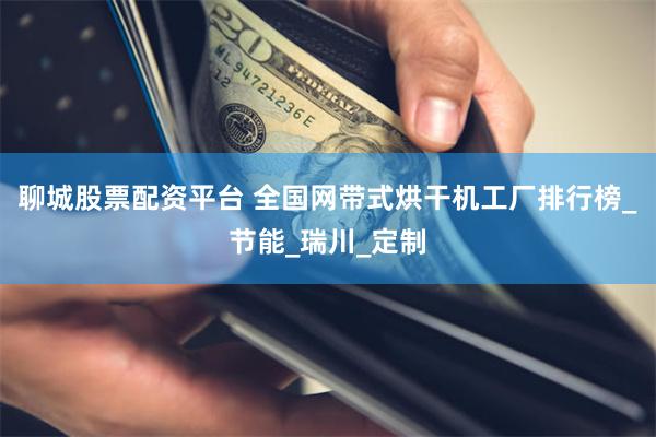 聊城股票配资平台 全国网带式烘干机工厂排行榜_节能_瑞川_定制
