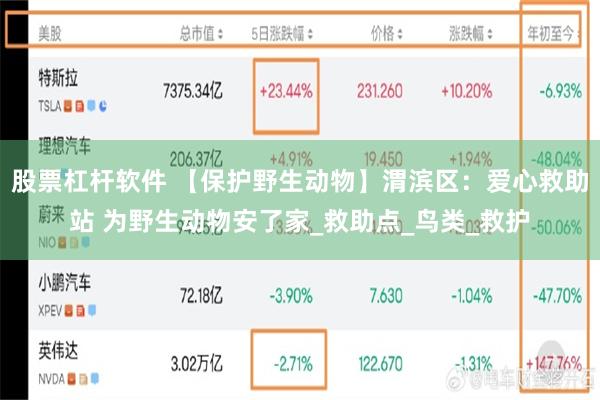 股票杠杆软件 【保护野生动物】渭滨区：爱心救助站 为野生动物安了家_救助点_鸟类_救护