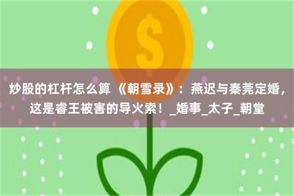 炒股的杠杆怎么算 《朝雪录》：燕迟与秦莞定婚，这是睿王被害的导火索！_婚事_太子_朝堂
