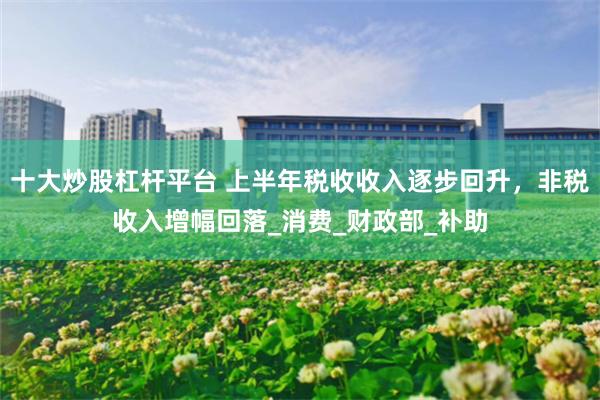 十大炒股杠杆平台 上半年税收收入逐步回升，非税收入增幅回落_消费_财政部_补助