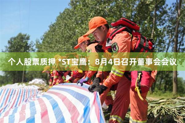 个人股票质押 *ST宝鹰：8月4日召开董事会会议