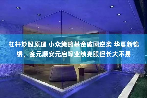 杠杆炒股原理 小众策略基金破圈逆袭 华夏新锦绣、金元顺安元启等业绩亮眼但长大不易