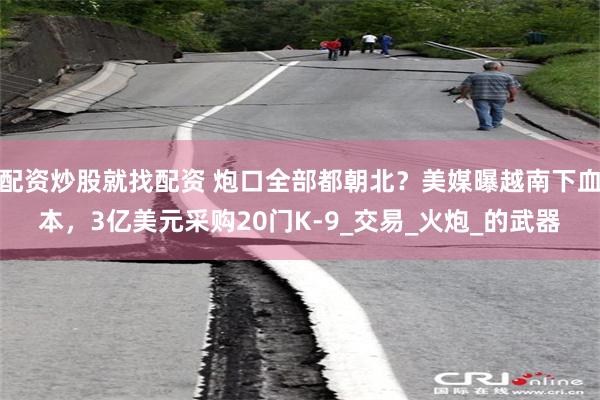 配资炒股就找配资 炮口全部都朝北？美媒曝越南下血本，3亿美元采购20门K-9_交易_火炮_的武器