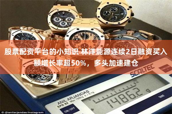 股票配资平台的小知识 林洋能源连续2日融资买入额增长率超50%，多头加速建仓
