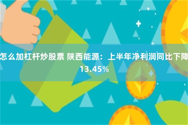 怎么加杠杆炒股票 陕西能源：上半年净利润同比下降13.45%